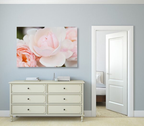 Quadro su tela – Pieno di rose