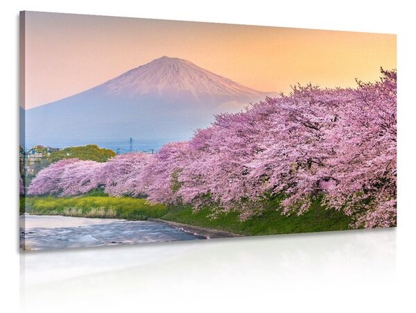 Stampa su tela – Vulcano Fuji del Giappone