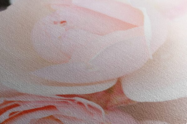 Quadro su tela – Pieno di rose