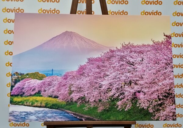 Stampa su tela – Vulcano Fuji del Giappone