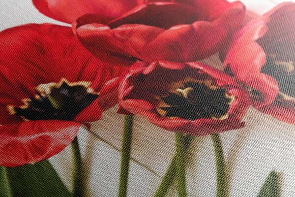 Quadro su tela – Tulipani rossi fioriti
