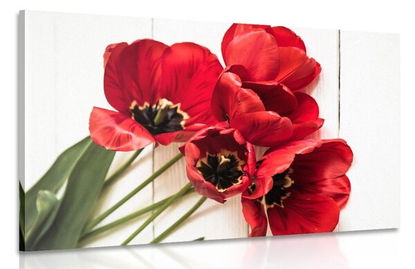 Quadro su tela – Tulipani rossi fioriti