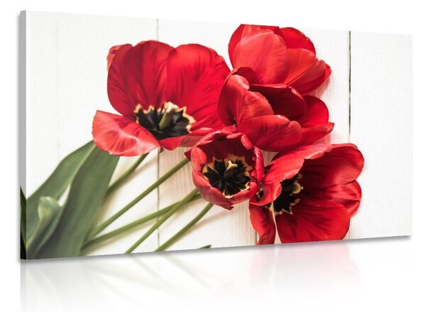 Quadro su tela – Tulipani rossi fioriti