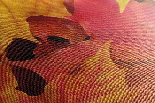 Quadro su tela – Foglie autunnali