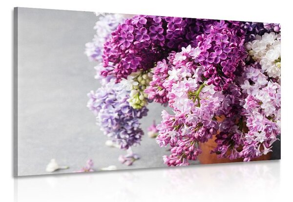 Stampa su tela – Lilla in tonalità rosa