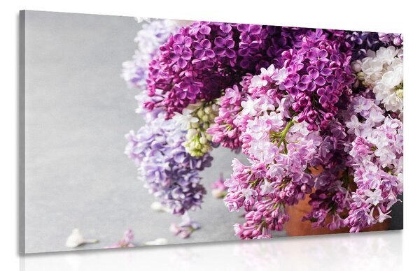 Stampa su tela – Lilla in tonalità rosa