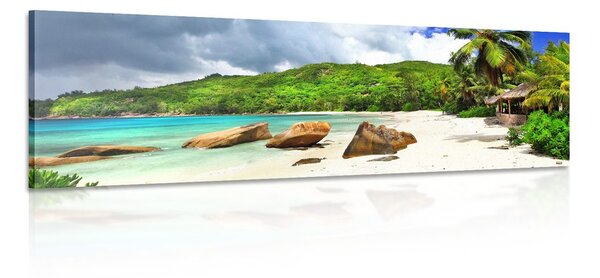 Stampa su tela – Seychelles tropicali