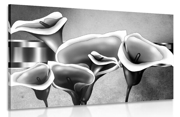 Quadro su tela – Eleganti fiori di calla in bianco e nero
