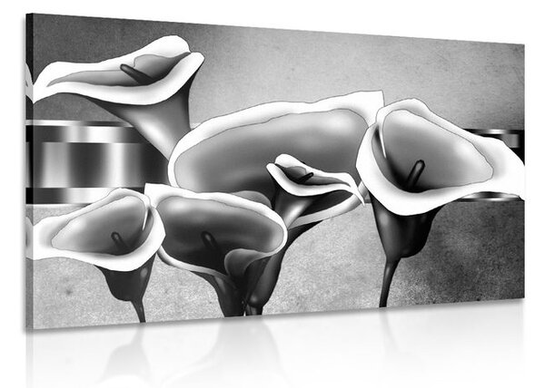 Quadro su tela – Eleganti fiori di calla in bianco e nero