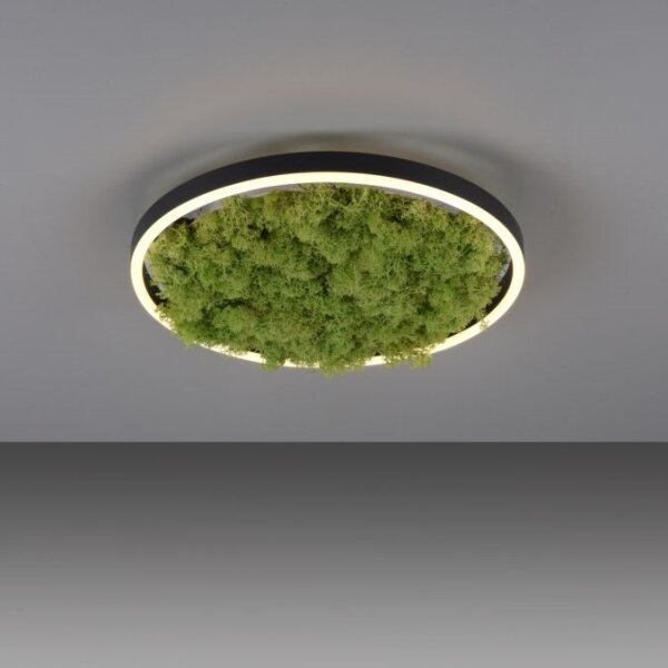 JUST LIGHT. 15391-66 - Plafoniera LED dimmerabile VERDE RITU LED/20W/230V