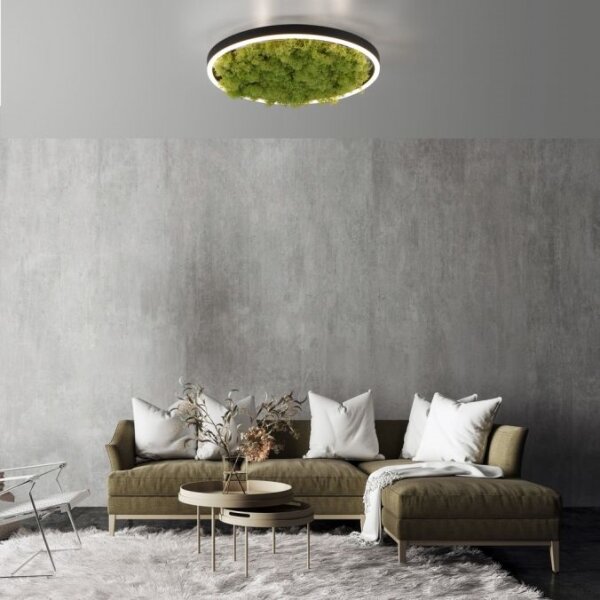 JUST LIGHT. 15391-66 - Plafoniera LED dimmerabile VERDE RITU LED/20W/230V