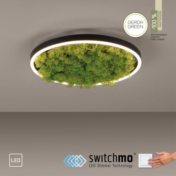 JUST LIGHT. 15391-66 - Plafoniera LED dimmerabile VERDE RITU LED/20W/230V
