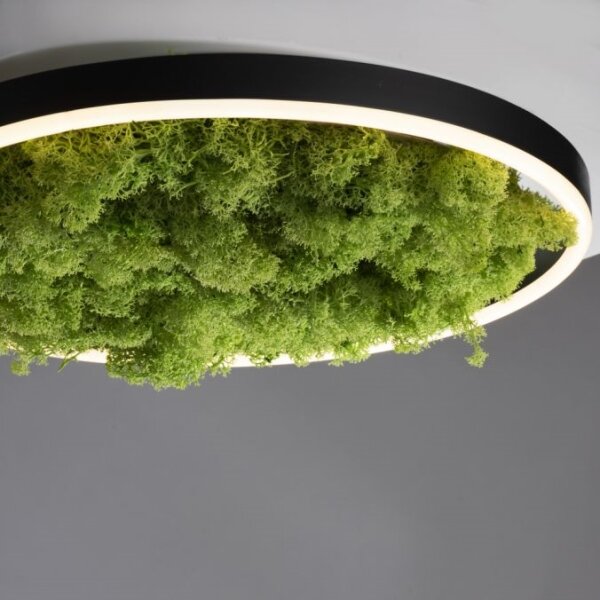 JUST LIGHT. 15391-66 - Plafoniera LED dimmerabile VERDE RITU LED/20W/230V