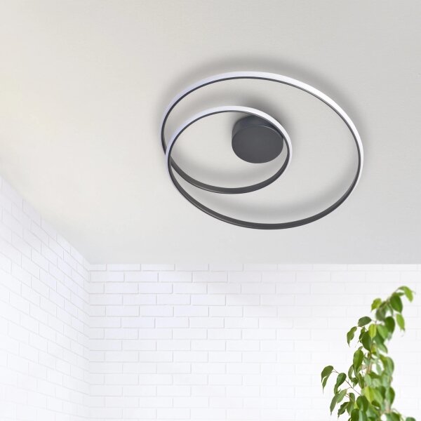 Plafoniera LED ZEFIRA LED/40W/230V 4000K diametro 50 cm antracite