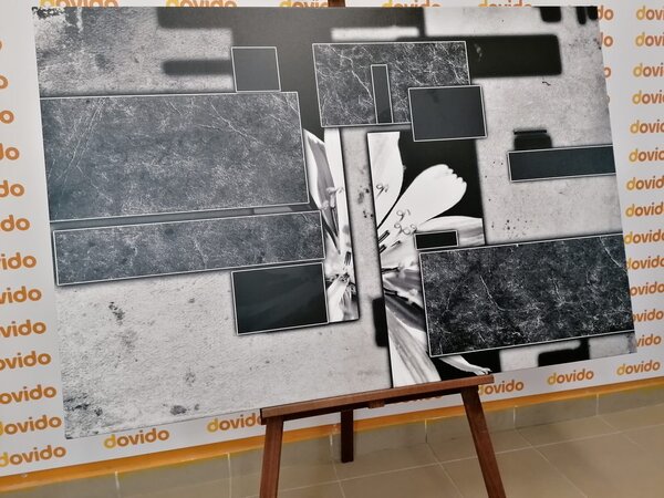 Stampa su tela – Astrazione in bianco e nero