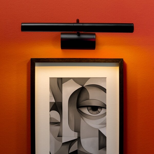 Brilagi - Lampada da quadro DANAE 2xE14/40W/230V nero