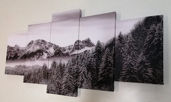 Quadri 5 pezzi – Montagne ghiacciate in bianco e nero
