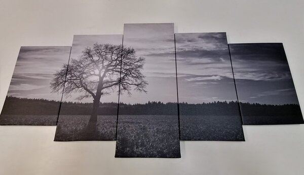Quadri 5 pezzi – Albero solitario in bianco e nero