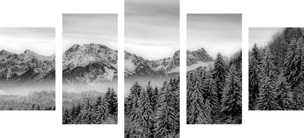 Quadri 5 pezzi – Montagne ghiacciate in bianco e nero