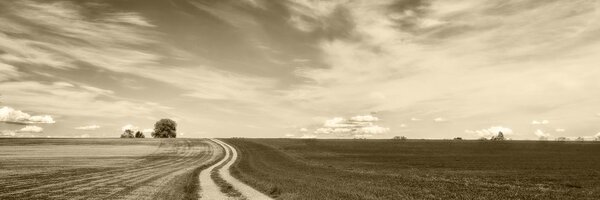 Stampa su tela – Paesaggio incantevole in seppia