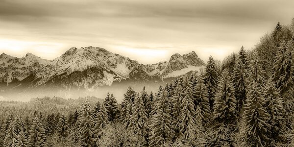 Quadro su tela – Montagne congelate in seppia