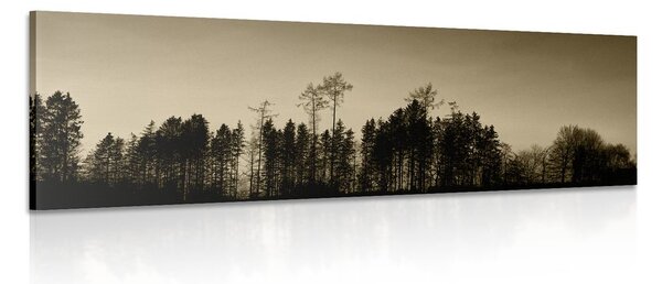 Stampa su tela – Foresta in seppia