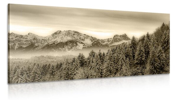 Quadro su tela – Montagne congelate in seppia