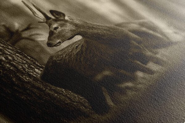 Quadro su tela – Cervo nella foresta di pini in seppia