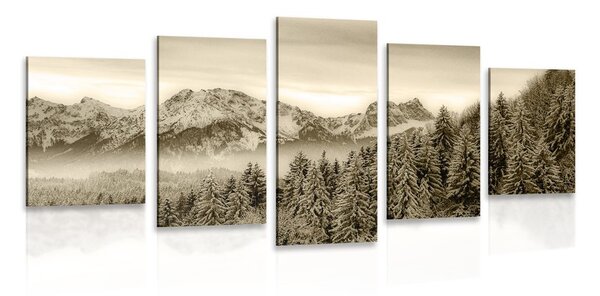 Quadri 5 pezzi – Montagne ghiacciate in seppia