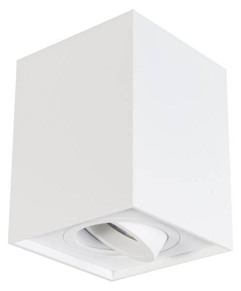 Faretto orientabile bianco - Quadro 1 Up