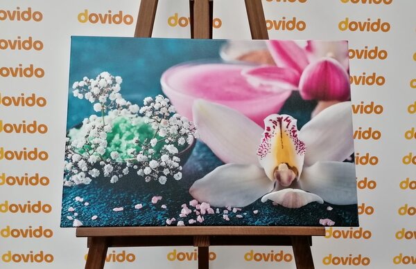 Stampa su tela – Splendida orchidea dettagliata