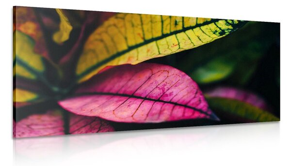 Quadro su tela – Foglie fresche