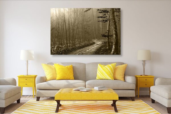 Quadro su tela – Sentiero nella foresta in seppia
