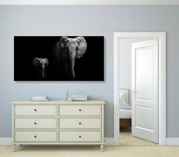 Quadro su tela – Piccolo elefante e elefantessa