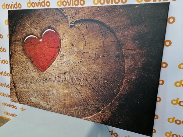 Quadro su tela – Cuore su tronco