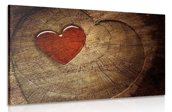 Quadro su tela – Cuore su tronco