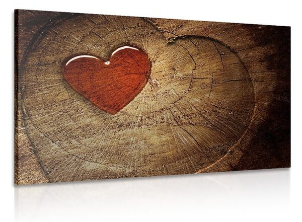 Quadro su tela – Cuore su tronco