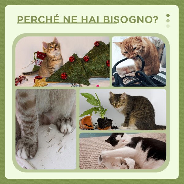 AllMyPets Albero Tiragraffi con Lettino per Gatti 2 Palline Piattaforma e Palo in Sisal colore Verde e Bianco - W671GN
