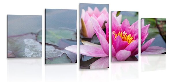 Quadri 5 pezzi – Fiore di loto rosa