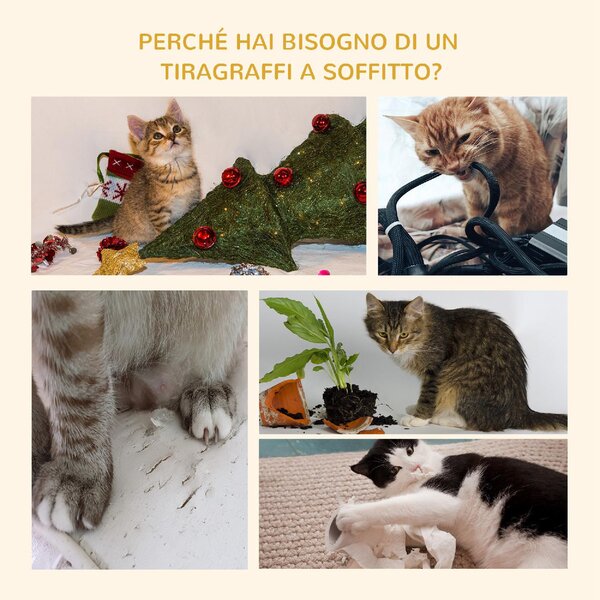 AllMyPets Albero Tiragraffi per Gatti a 4 Livelli con Altezza Regolabile Grigio 43x27x228-260cm - 312GYS369