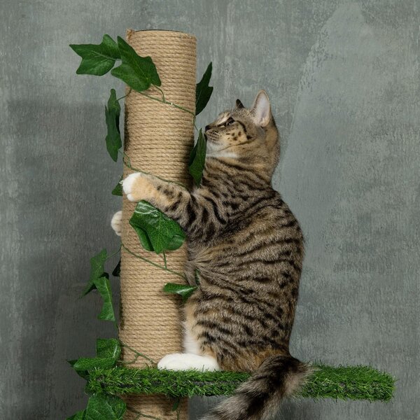 AllMyPets Albero Tiragraffi per Gatti a Soffitto Alto 202-242 cm Regolabile con Asta di Tensione colore Verde - U5130GN