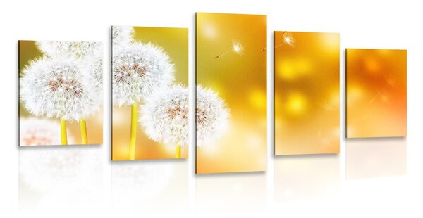 Quadri 5 pezzi – Dente di leone soffice