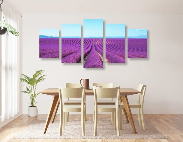 Quadri 5 pezzi – Campo di lavanda infinito