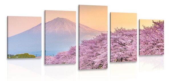 Quadri 5 pezzi – Splendido Giappone