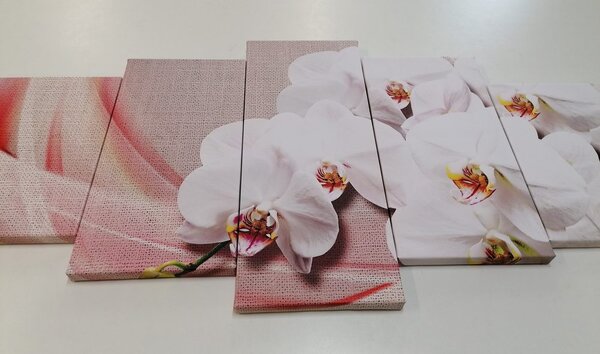 Quadri 5 pezzi – Orchidea bianca su tela