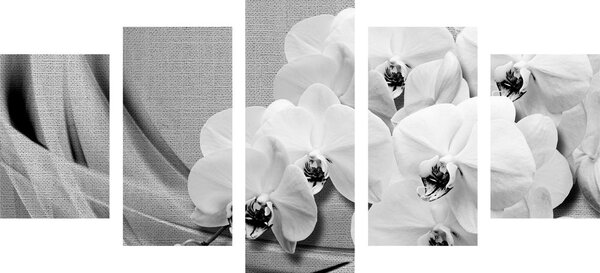 Quadri 5 pezzi – Orchidea su tela in bianco e nero