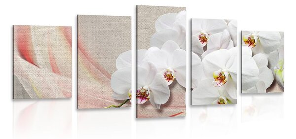 Quadri 5 pezzi – Orchidea bianca su tela