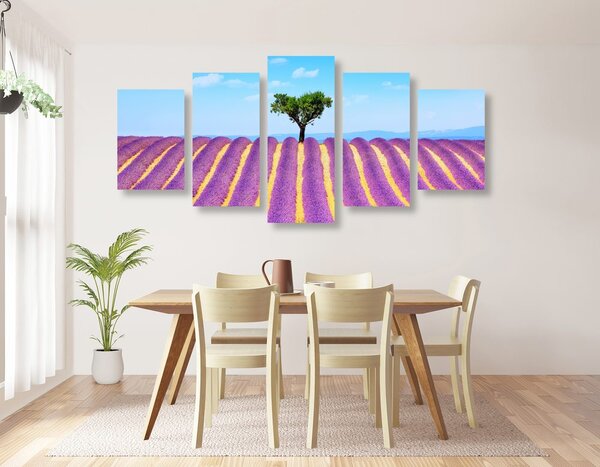 Quadri 5 pezzi – Campo di lavanda provenzale
