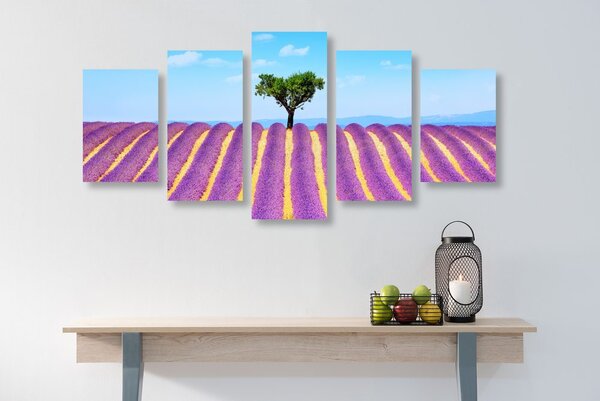 Quadri 5 pezzi – Campo di lavanda provenzale