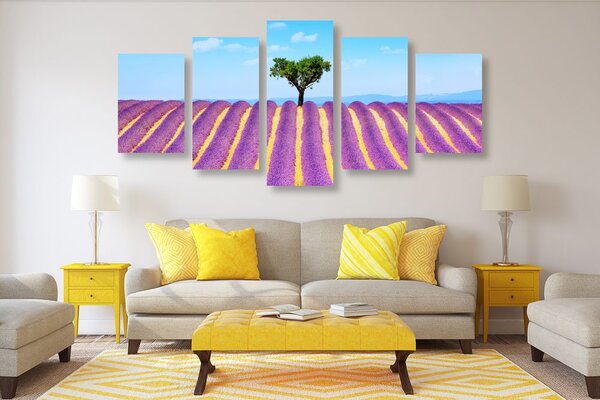 Quadri 5 pezzi – Campo di lavanda provenzale